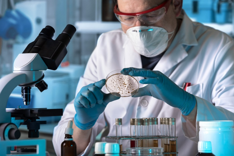 Британские учёные решили дать бой мировому нашествию грибных патогенов